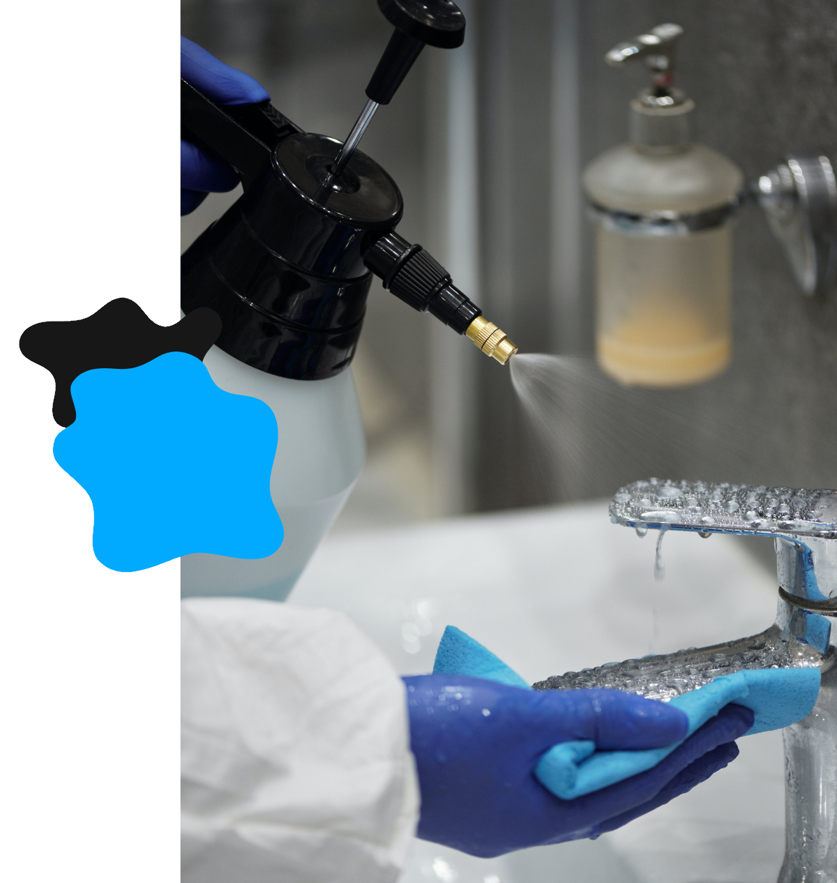 professional cleaning services