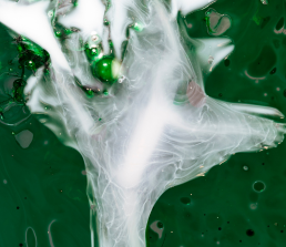 Eco-friendly glass cleaner for streak-free windows in Strand and Stellenbosch